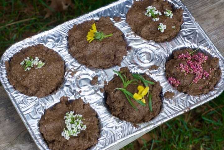 mud pies in a cupcake tray