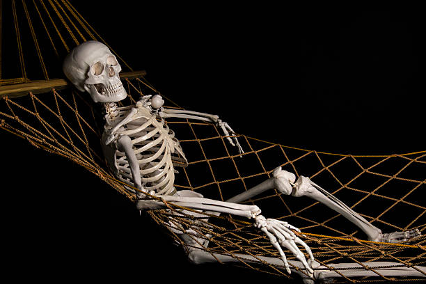 A photo of a skeleton.
